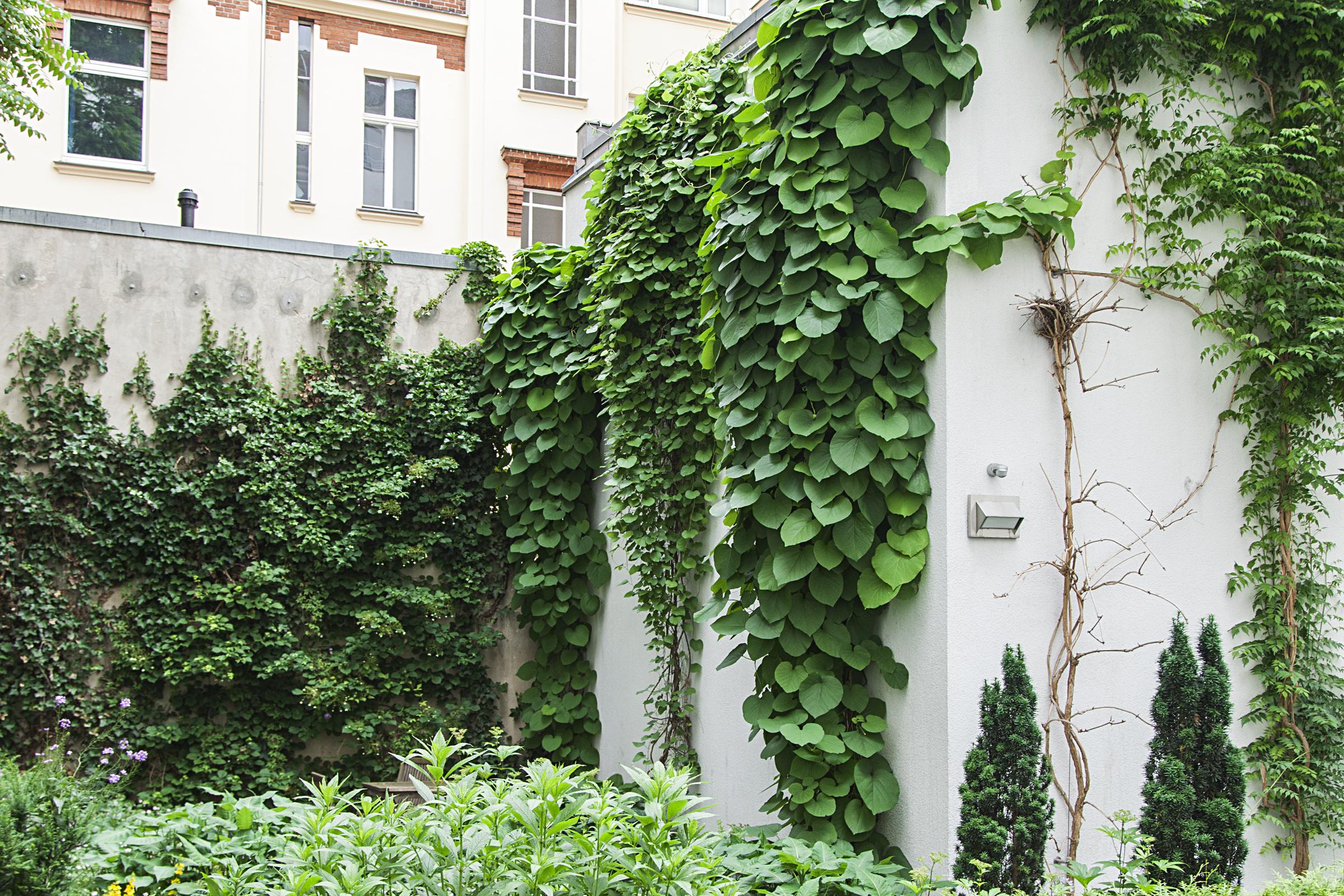 Quentin Design Hotel Berlin Exterior foto